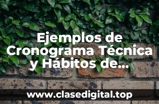 Ejemplos de Cronograma Técnica y Hábitos de Estudios