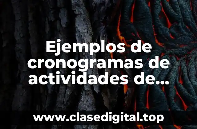 Ejemplos de cronogramas de actividades de cursos