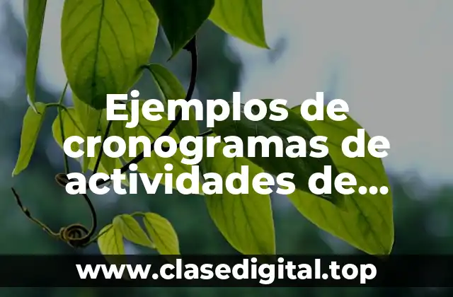 Ejemplos de cronogramas de actividades de restaurantes