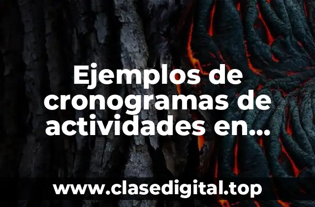 Ejemplos de cronogramas de actividades en proyectos