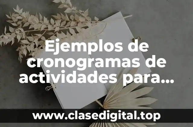 Ejemplos de cronogramas de actividades para proyectos