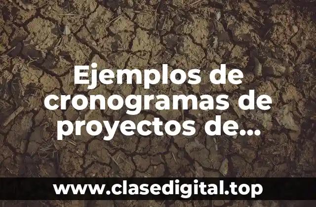 Ejemplos de cronogramas de proyectos de investigación originales