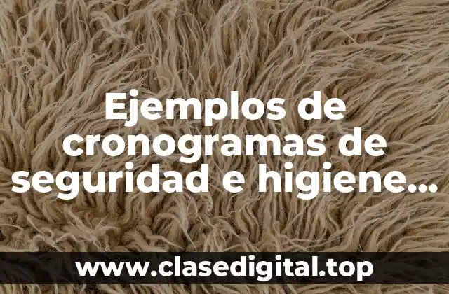 Ejemplos de cronogramas de seguridad e higiene y Significado