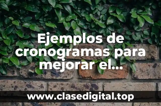 Ejemplos de cronogramas para mejorar el comportamiento de alumnos