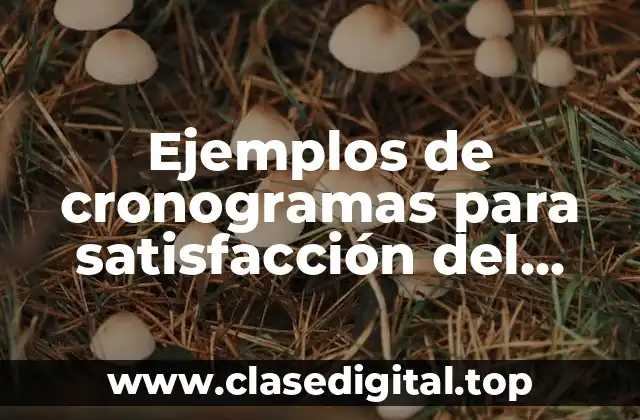 Ejemplos de cronogramas para satisfacción del cliente tesis