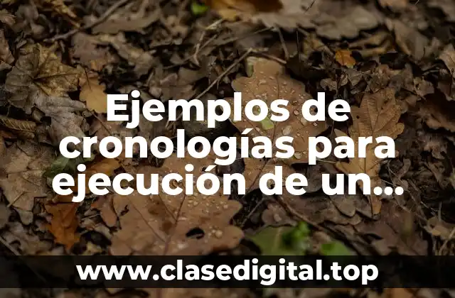 Ejemplos de cronologías para ejecución de un proyecto