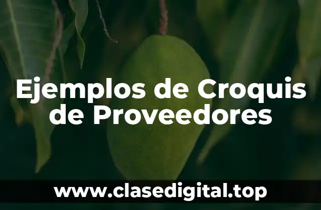 Ejemplos de Croquis de Proveedores