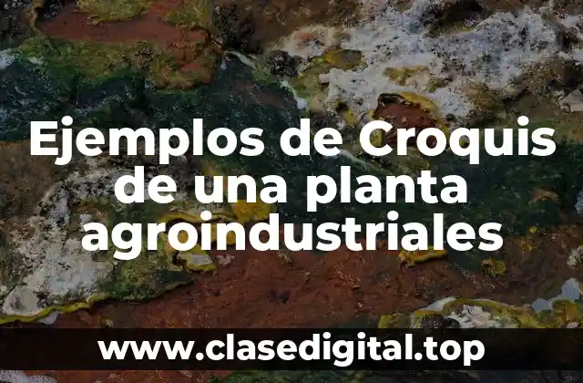 Ejemplos de Croquis de una planta agroindustriales