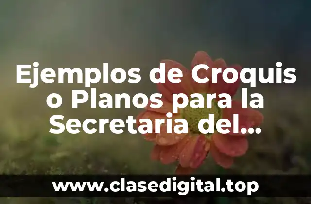 Ejemplos de Croquis o Planos para la Secretaria del Trabajo