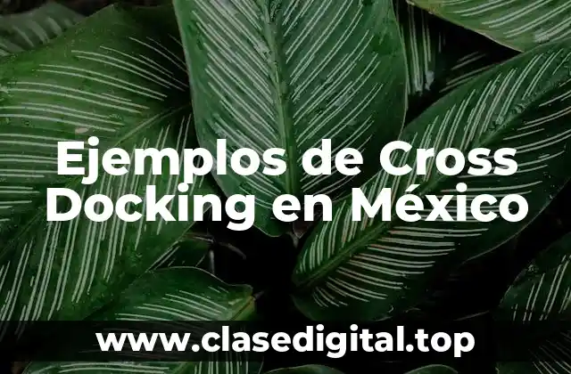 Ejemplos de Cross Docking en México