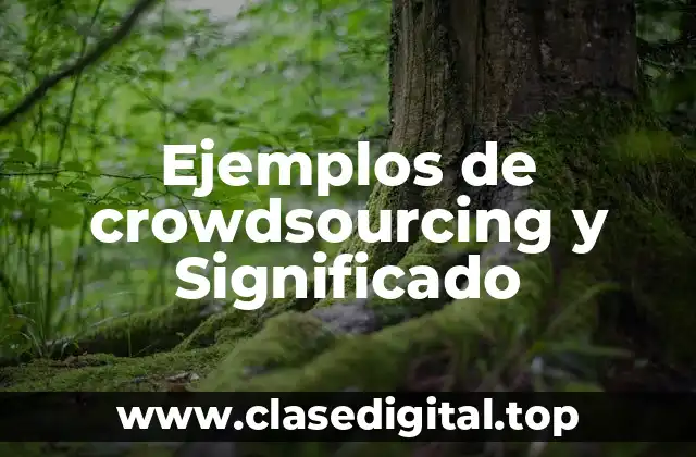 Ejemplos de crowdsourcing y Significado