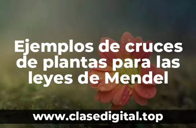 Ejemplos de cruces de plantas para las leyes de Mendel