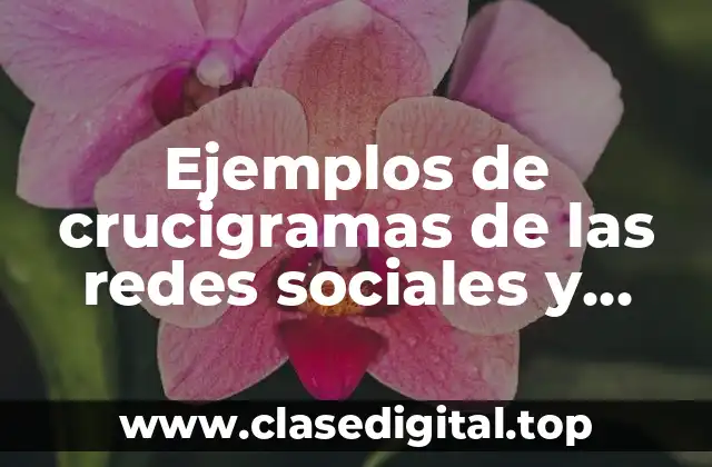 Ejemplos de crucigramas de las redes sociales y Significado