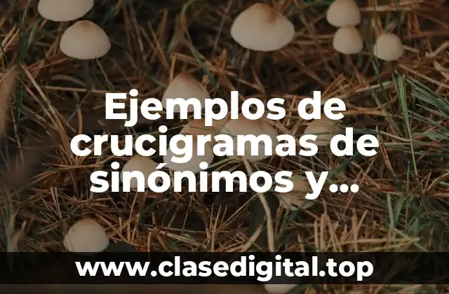 Ejemplos de crucigramas de sinónimos