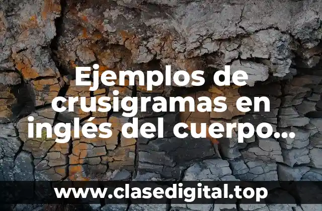 Ejemplos de crusigramas en inglés del cuerpo humano