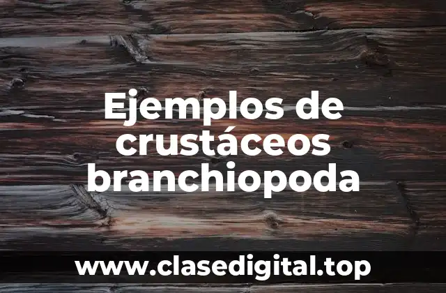 Ejemplos de Crustáceos Branchiopoda