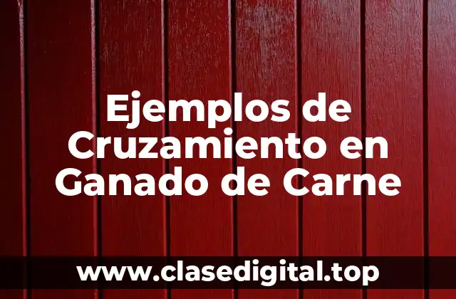 Ejemplos de Cruzamiento en Ganado de Carne