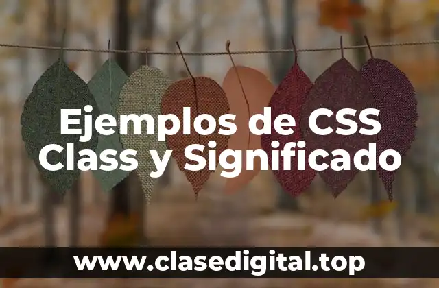 Ejemplos de CSS Class y Significado