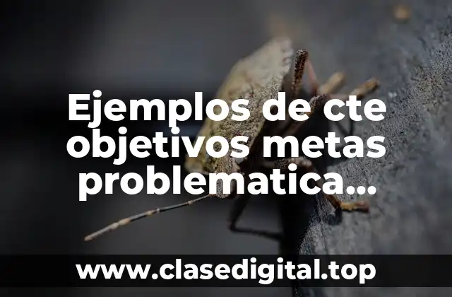 Ejemplos de cte objetivos metas problematica prioridad y Significado