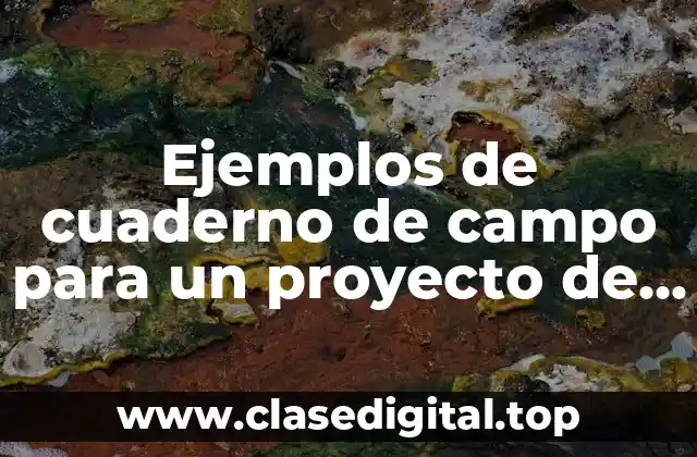 Ejemplos de cuaderno de campo para un proyecto de ciencias