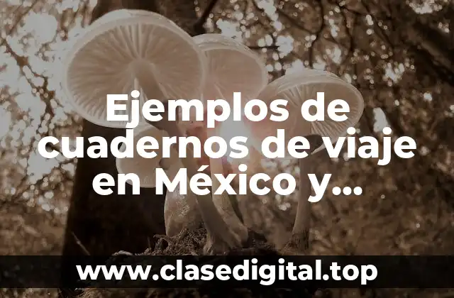 Ejemplos de cuadernos de viaje en México y Significado