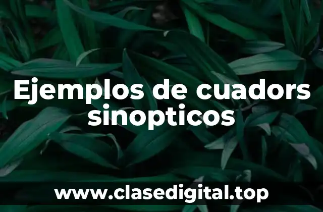 Ejemplos de cuadors sinopticos
