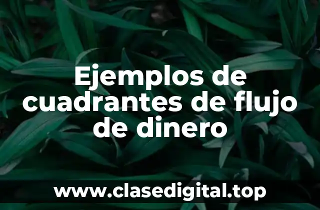 Ejemplos de cuadrantes de flujo de dinero