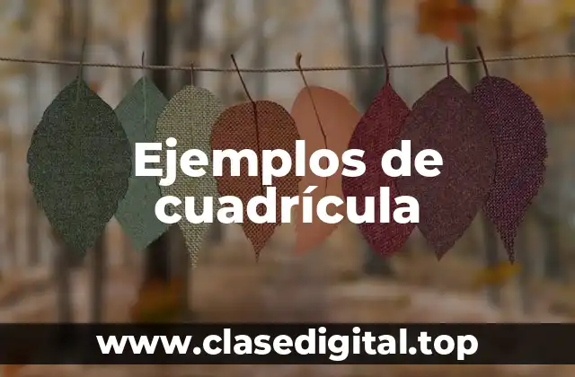 Ejemplos de cuadrícula