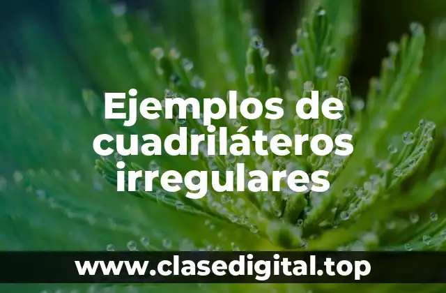 Ejemplos de cuadriláteros irregulares