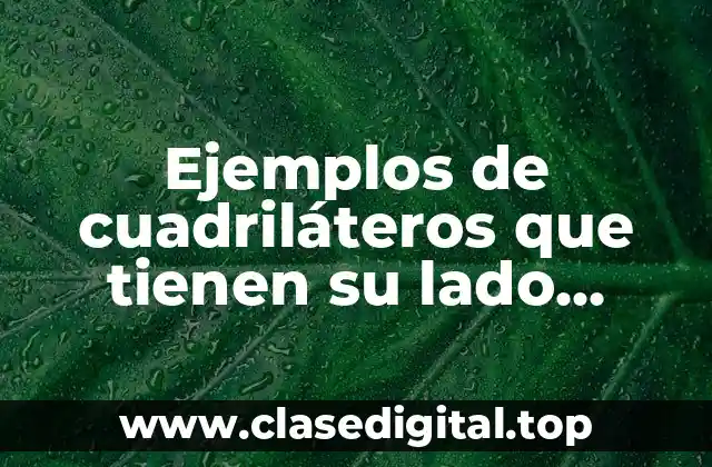 Ejemplos de cuadriláteros que tienen su lado opuesto