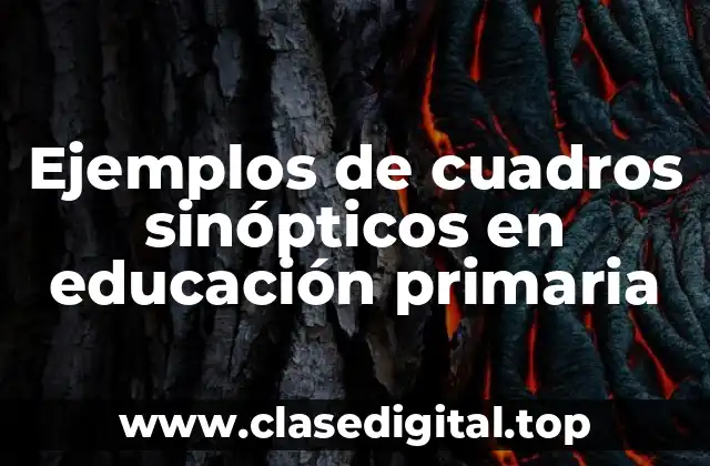 Ejemplos de cuadros sinópticos en educación primaria