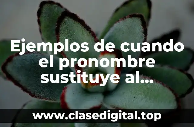 Ejemplos de cuando el pronombre sustituye al sustantivo