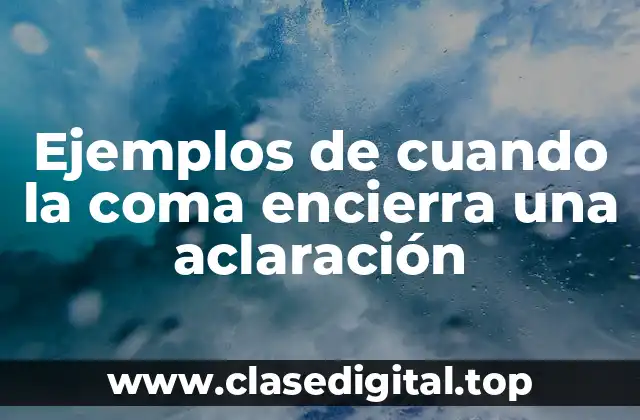 Ejemplos de cuando la coma encierra una aclaración