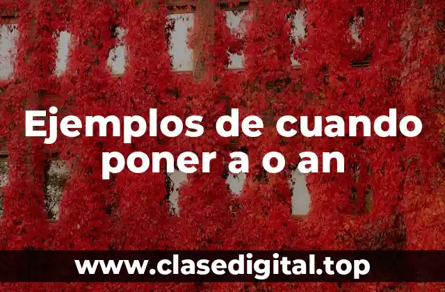 Ejemplos de cuando poner a o an