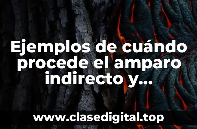 Ejemplos de cuándo procede el amparo indirecto