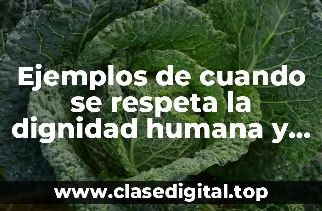 Ejemplos de cuando se respeta la dignidad humana y Significado