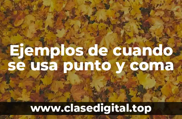 Ejemplos de cuando se usa punto y coma