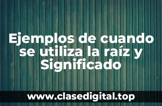 Ejemplos de cuando se utiliza la raíz y Significado