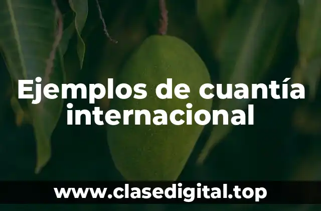 Ejemplos de cuantía internacional