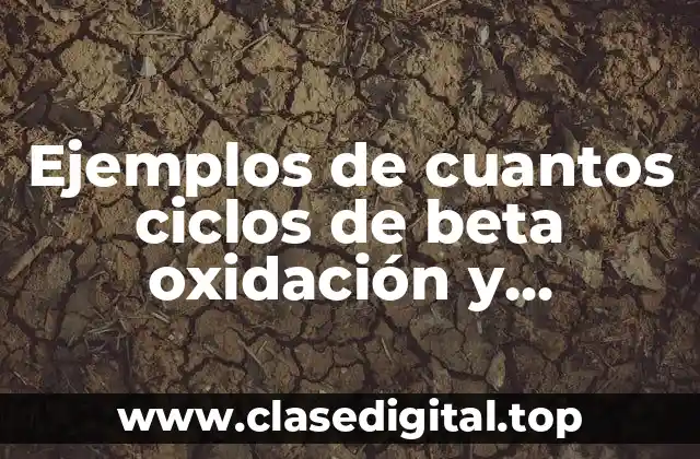 Ejemplos de cuantos ciclos de beta oxidación