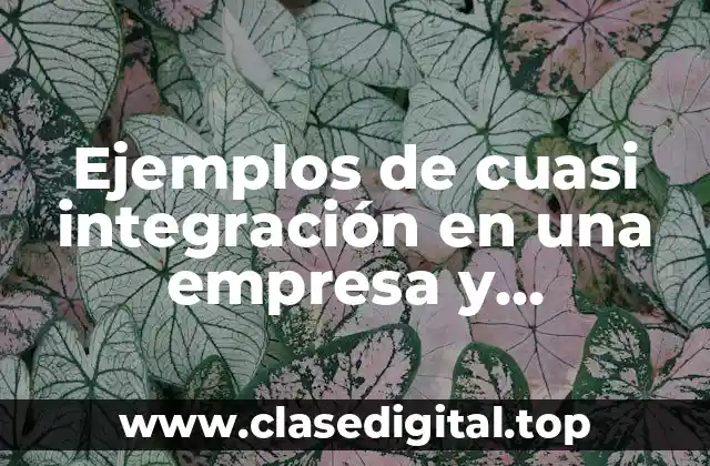 Ejemplos de cuasi integración en una empresa y Significado