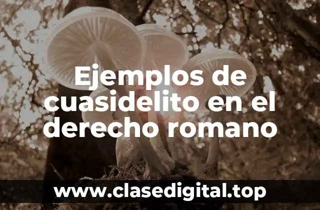 Ejemplos de cuasidelito en el derecho romano