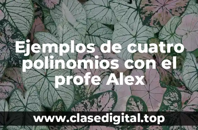Ejemplos de cuatro polinomios con el profe Alex