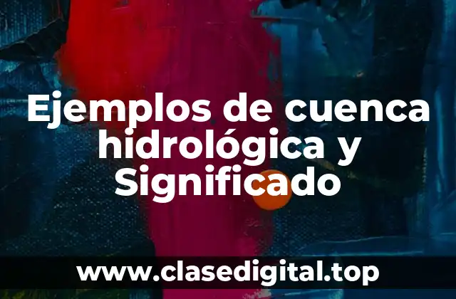 Ejemplos de cuenca hidrológica