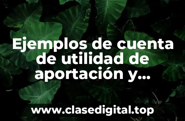 Ejemplos de cuenta de utilidad de aportación y Significado