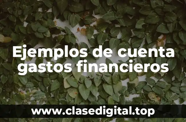 Ejemplos de cuenta de gastos financieros