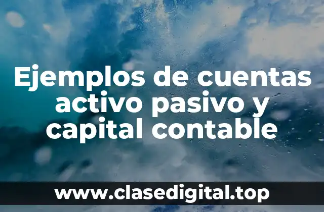 Ejemplos de cuentas activo pasivo y capital contable
