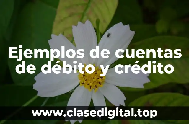 Ejemplos de cuentas de débito y crédito