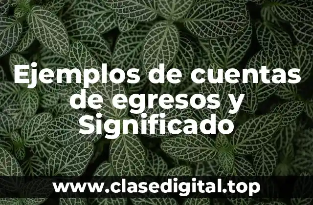 Ejemplos de cuentas de egresos y Significado
