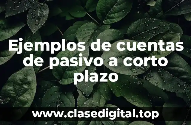 Ejemplos de cuentas de pasivo a corto plazo